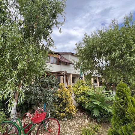 Casa Vera, Tudor Vladimirescu ทูลเซีย ภายนอก รูปภาพ